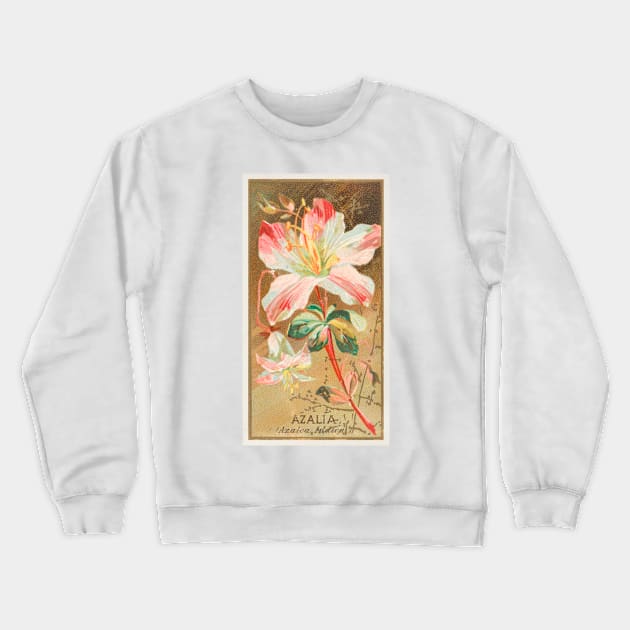 Azalia (Azalea Indica) Crewneck Sweatshirt by WAITE-SMITH VINTAGE ART